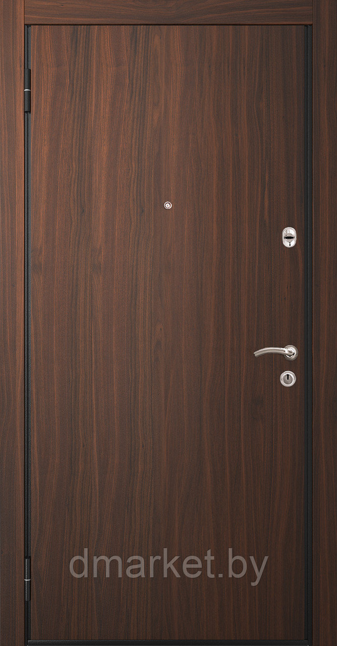 Дверь входная металлическая Титан Т110, фото 1