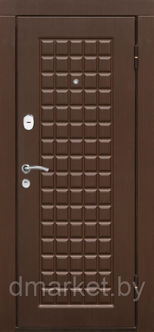 Дверь входная металлическая Титан Т113