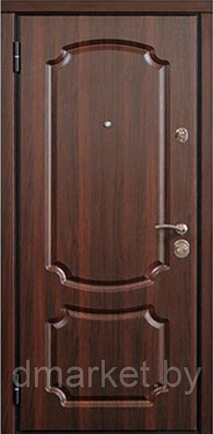 Дверь входная металлическая Титан Т212, фото 1