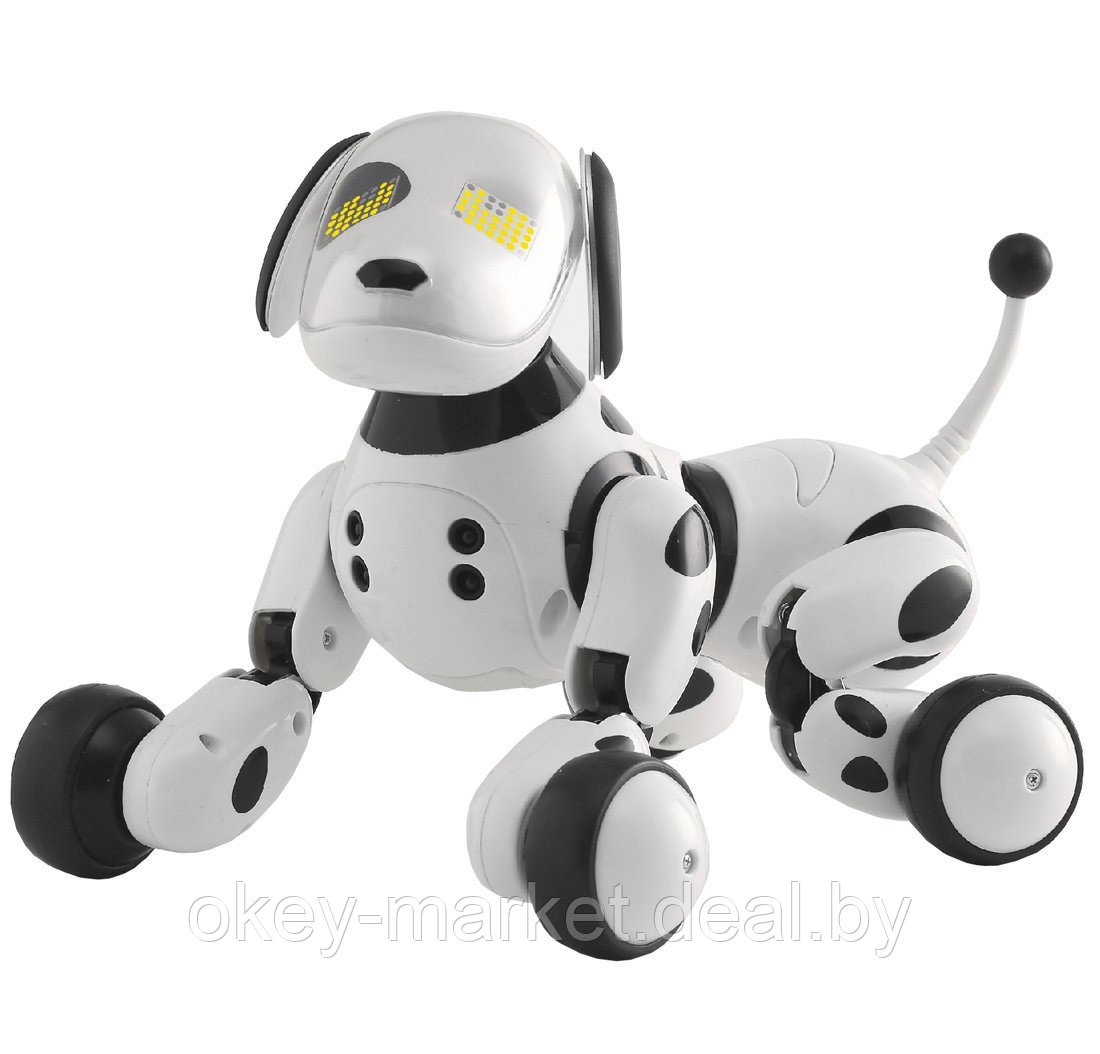 Радиоуправляемая робот-собака RC Robot Dog DIMEI 9007A Review - фото 1 - id-p73851216