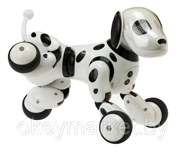 Радиоуправляемая робот-собака RC Robot Dog DIMEI 9007A Review - фото 5 - id-p73851216