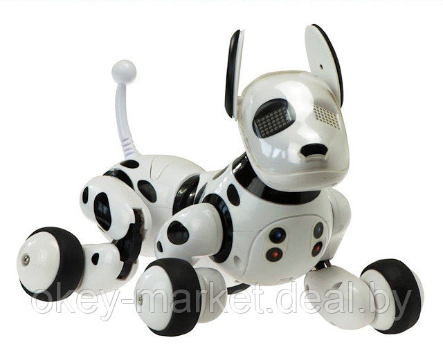 Радиоуправляемая робот-собака RC Robot Dog DIMEI 9007A Review - фото 4 - id-p73851216