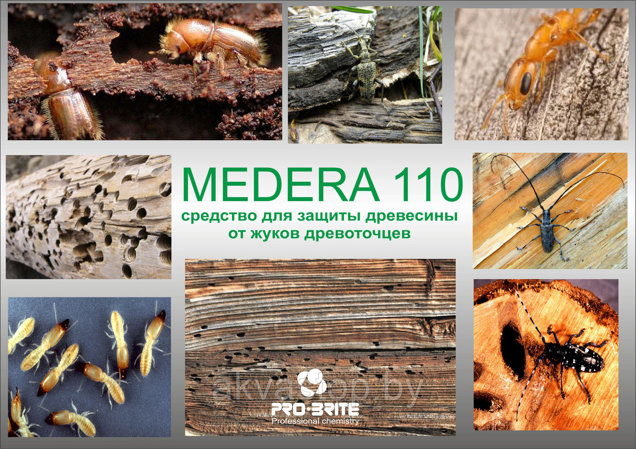 Антижук инсектицид MEDERA 110 Concentrate 1:10 1л. - фото 2 - id-p73868114