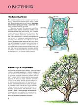 Растения. Полная энциклопедия, фото 3