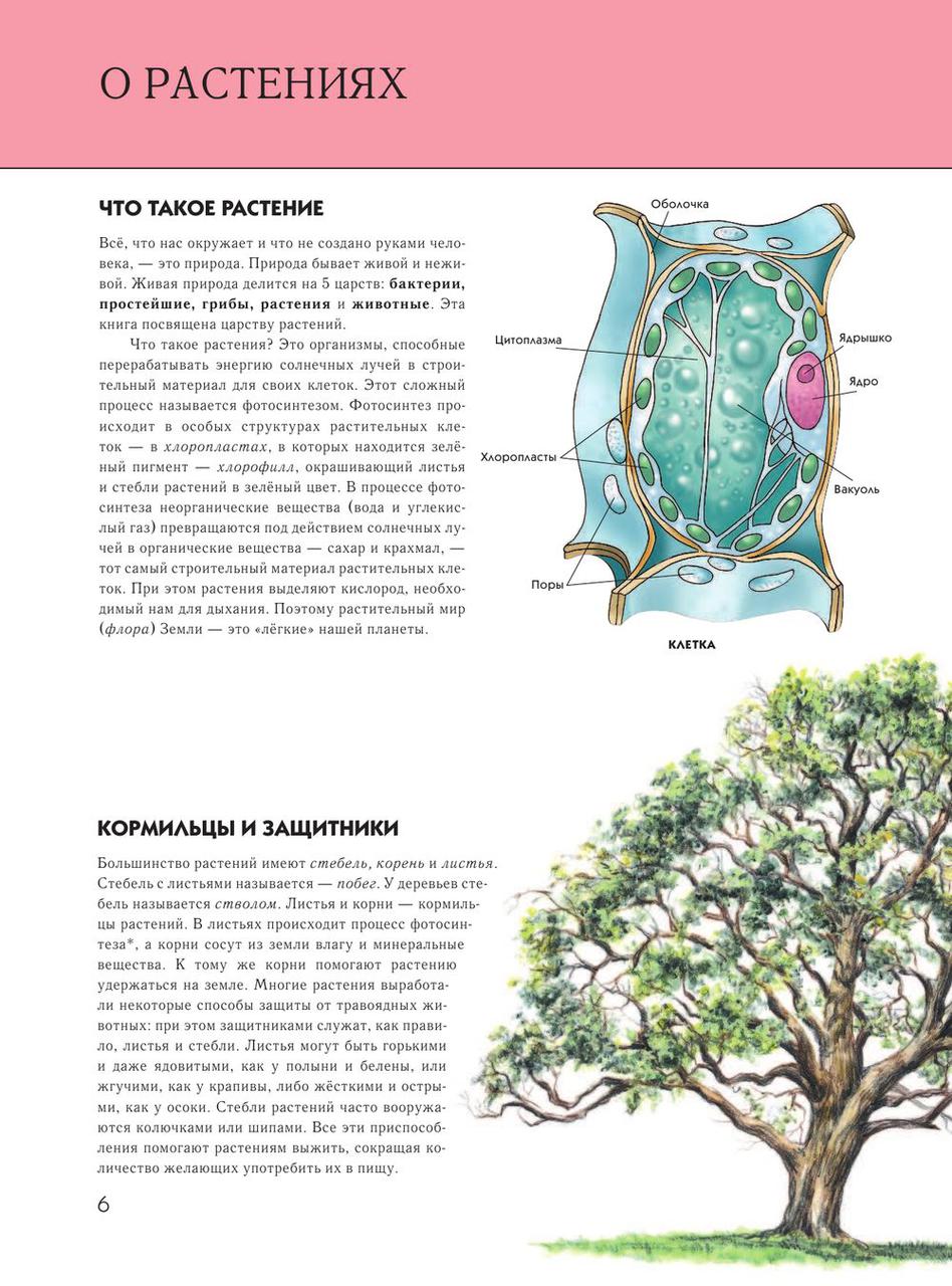 Растения. Полная энциклопедия - фото 5 - id-p73886575