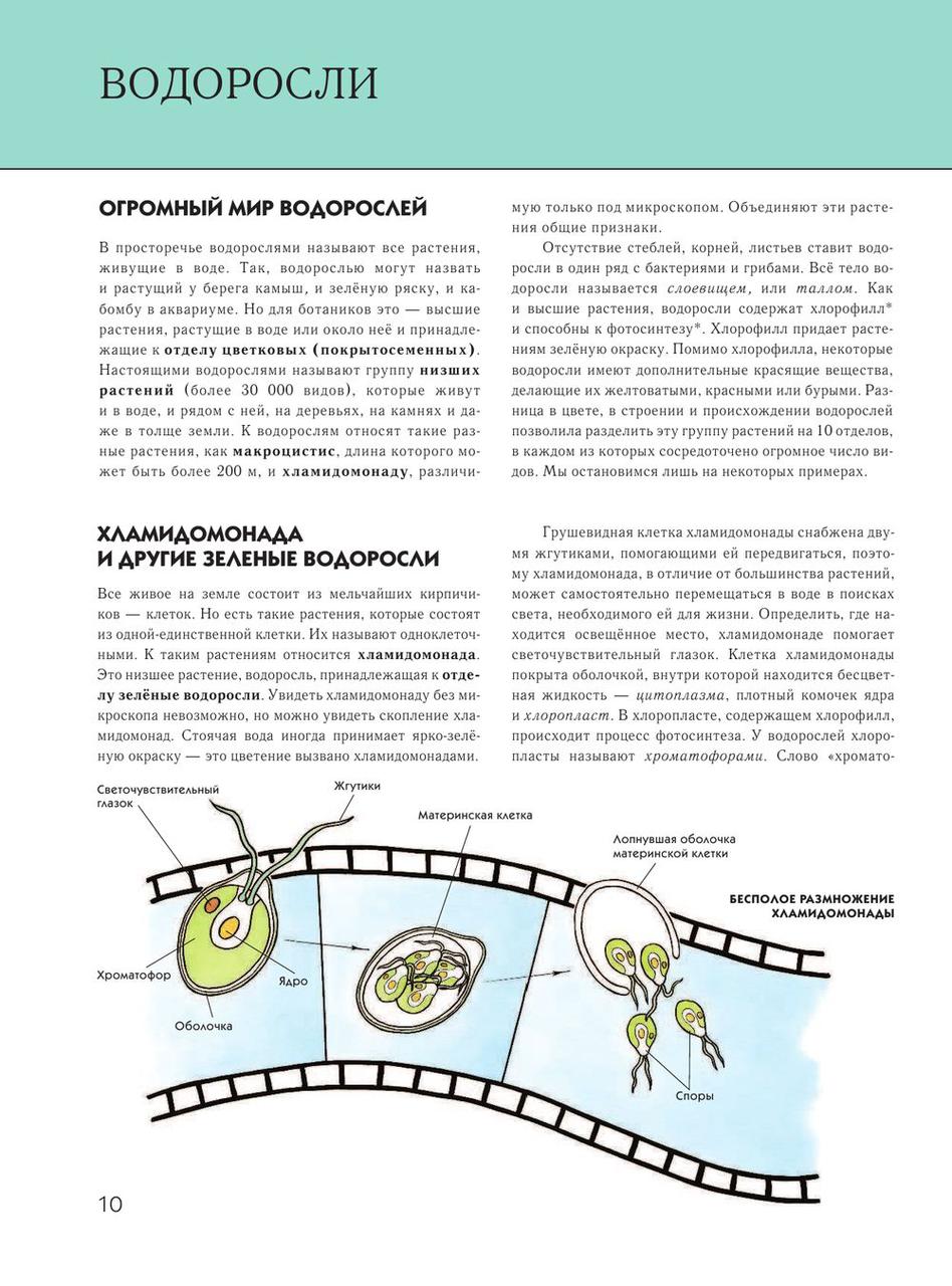 Растения. Полная энциклопедия - фото 9 - id-p73886575