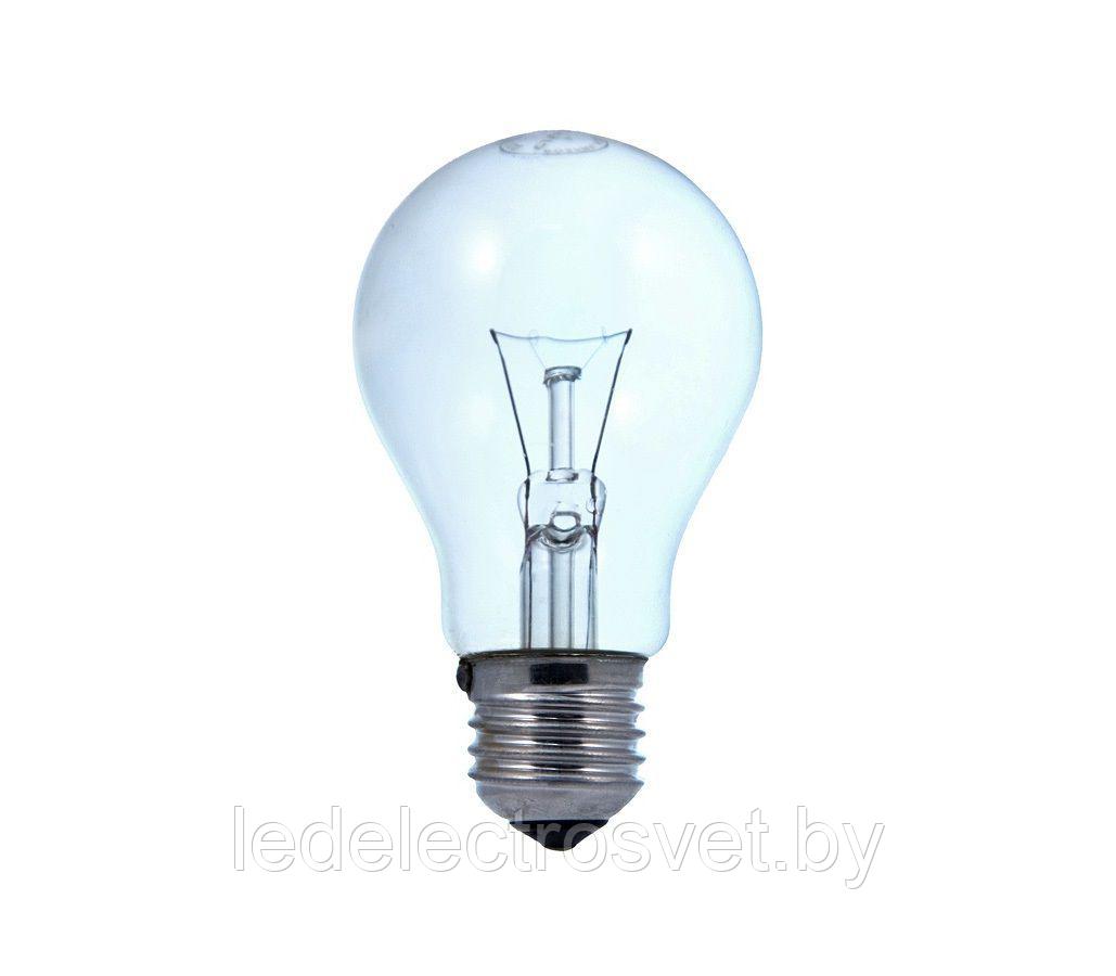 Лампа МО лампа накаливания МО 36-60 М50 (100) - фото 1 - id-p74371269
