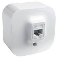 Розетка компьютерная наружного монтажа IP20 Legrand Quteo