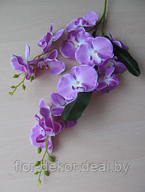 Ветка орхидеи двойная, h=86см(4 цвета)