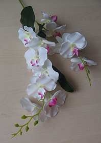 Ветка орхидеи двойная, h=86см(4 цвета)