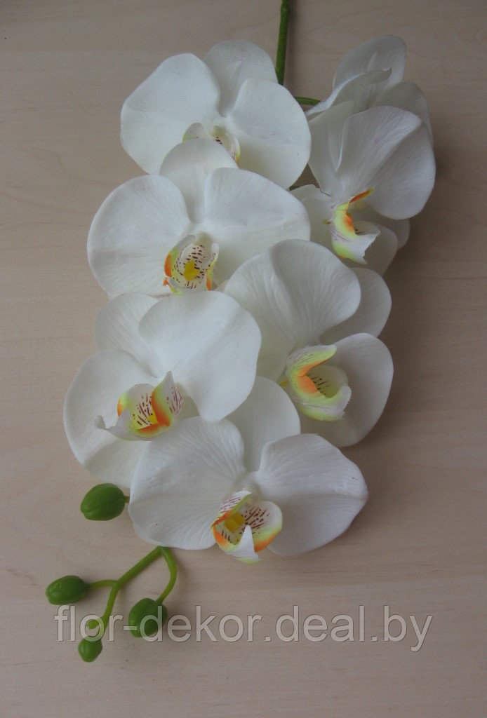 Ветка орхидеи полусиликоновая, H=81см.(4 цвета) - фото 7 - id-p36694199