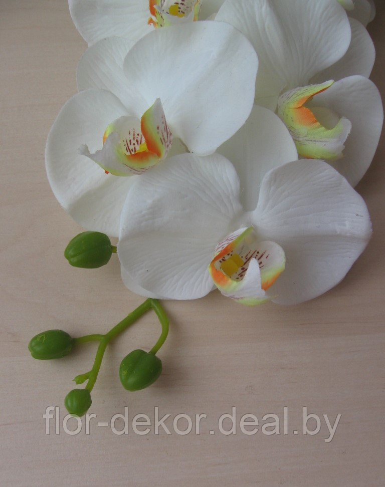Ветка орхидеи полусиликоновая, H=81см.(4 цвета) - фото 8 - id-p36694199