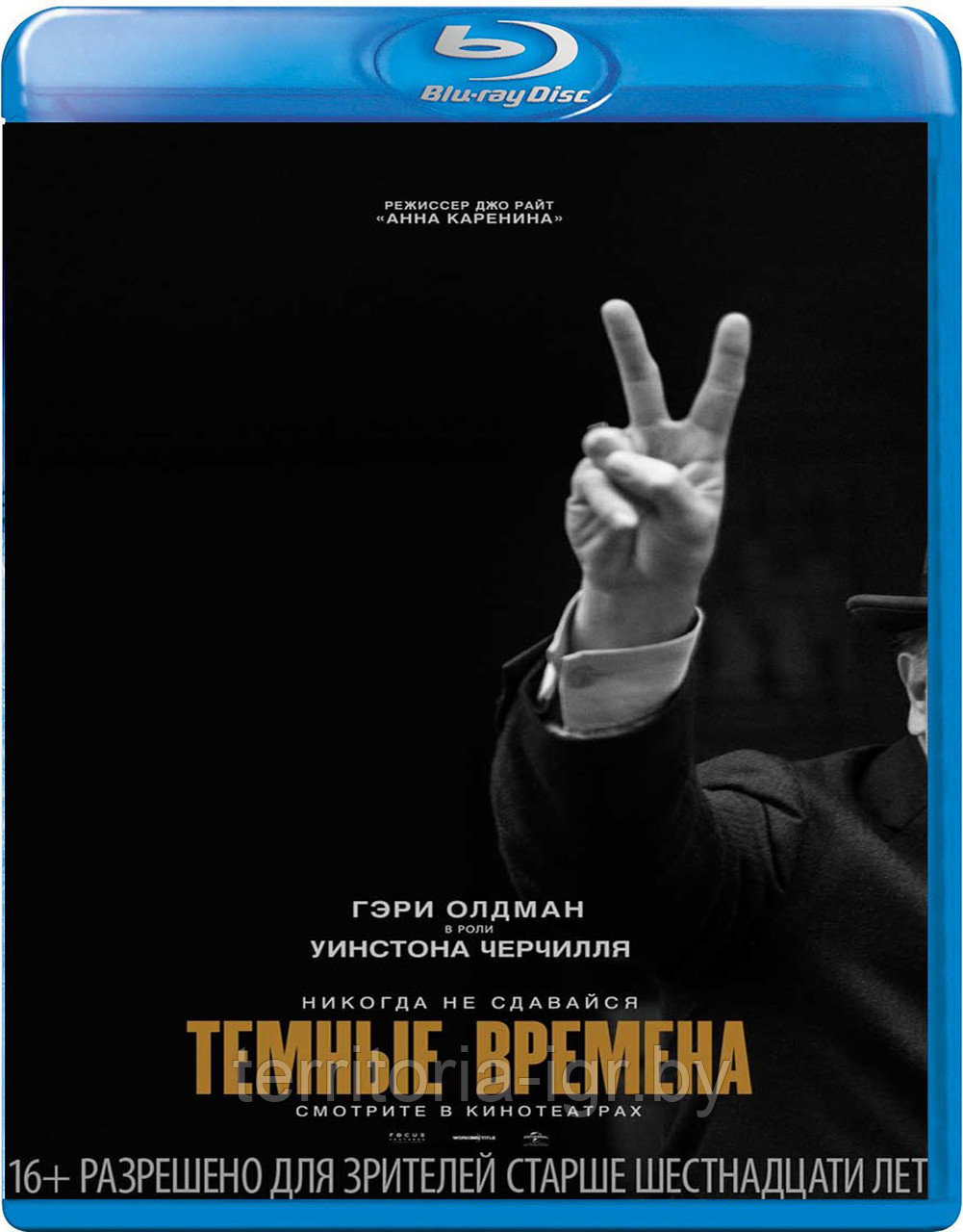 Темные времена (BLU RAY Видео-фильм)