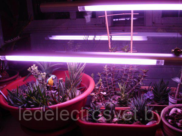 Osram fluora 18w online