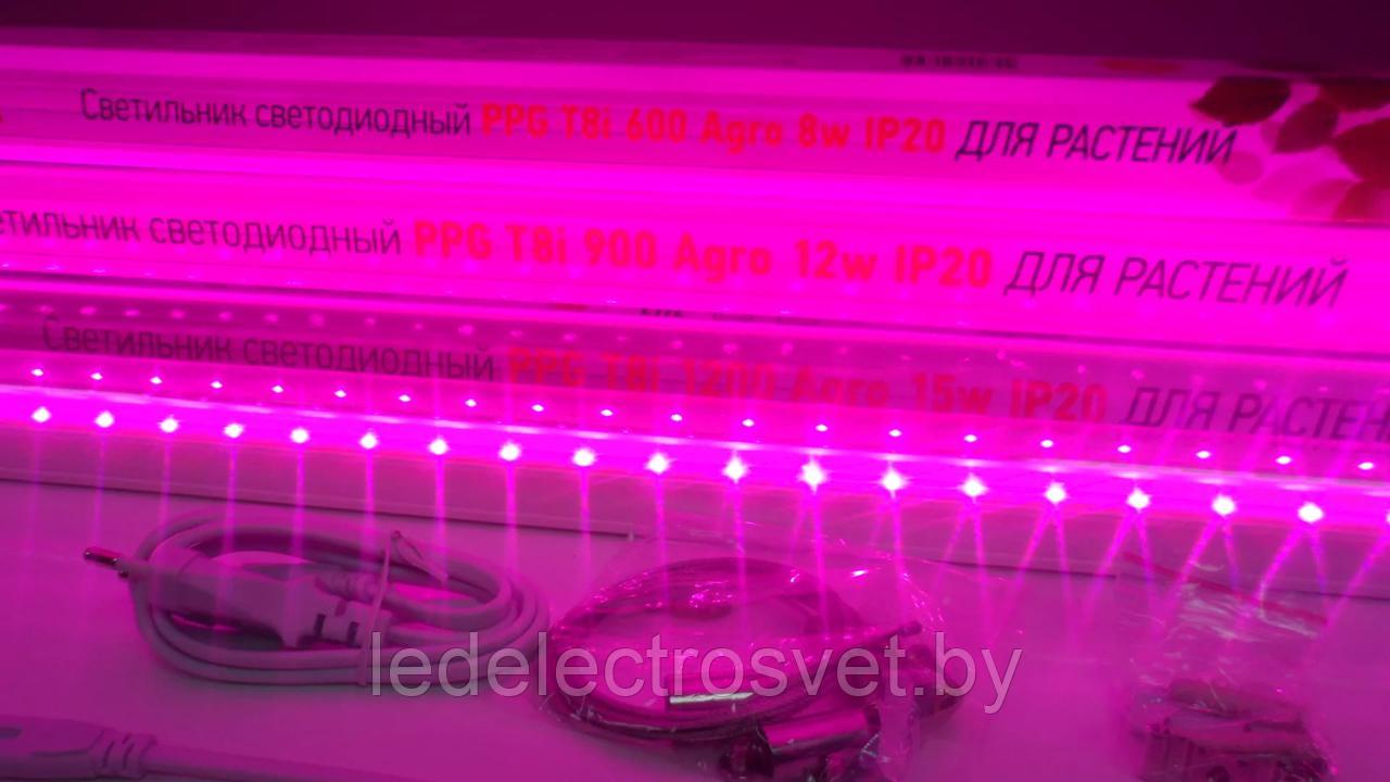 Светильник светодиодный для растений PPG T8i- 1200 Agro 16Вт IP20 - фото 1 - id-p74455633