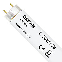 Лампа люминесцентная L 15W/76 NATURA G13 Osram