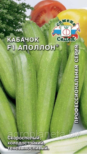 Кабачок АППОЛОН® F1, 2г