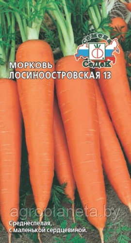 Морковь ЛОСИНООСТРОВСКАЯ 13, 2г