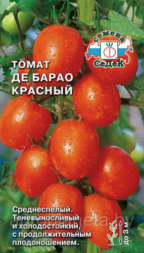 Томат Де Барао Красный, 0.1г: семена, семена овощных культур, семенами ...