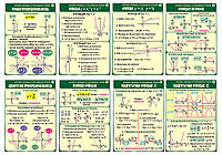 СТЕНДЫ по математике на белорусском языке. "Алгебра. Функцыі, іх уласцівасці і графікі" р-р 60*85 см