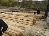 Распиловка древесины, фото 3