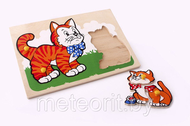 Кот и котенок
