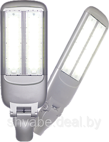 Светильник светодиодный наружного освещения ДКУ-100
