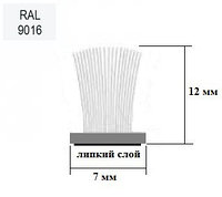 Щёточный уплотнитель самоклеящийся 7х12 mm Белый RAL9016 - 300м