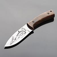 Нож разделочный Кизляр Акула-2