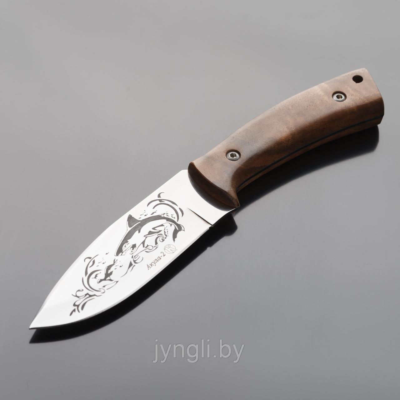 Нож разделочный Кизляр Акула-2 - фото 1 - id-p75391039