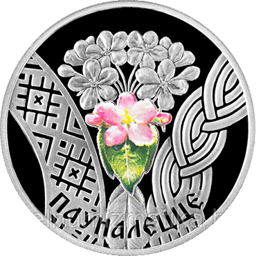 Совершеннолетие. Серебро 20 рублей 2010