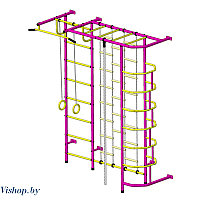 ДСК Пионер-С5Л пурпурно-желтый