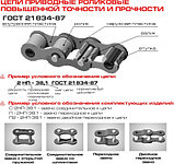 Цепи приводные роликовые повышенной прочности и точности (нефтецепи), фото 2