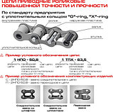 Цепи приводные роликовые повышенной прочности и точности (нефтецепи), фото 3