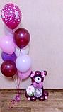 Композиции из воздушных шаров для выписки из роддома, фото 7