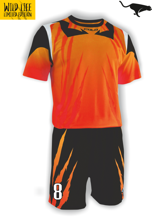 Форма футбольная PUMA