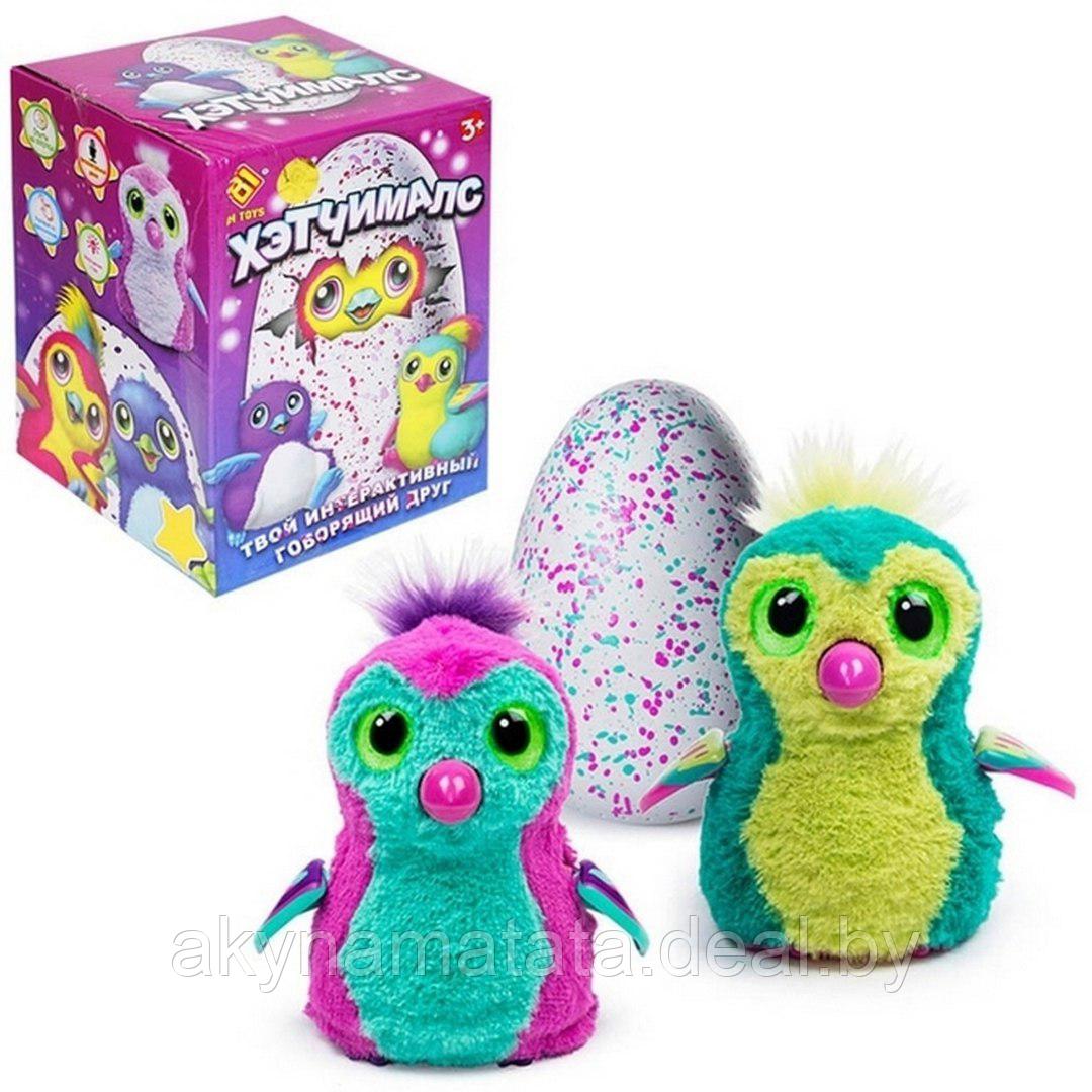 Hatchimals - Хетчималс Пингвинчик - интерактивный питомец. Сам вылупляется из яйца!!! аналог - фото 1 - id-p75803109