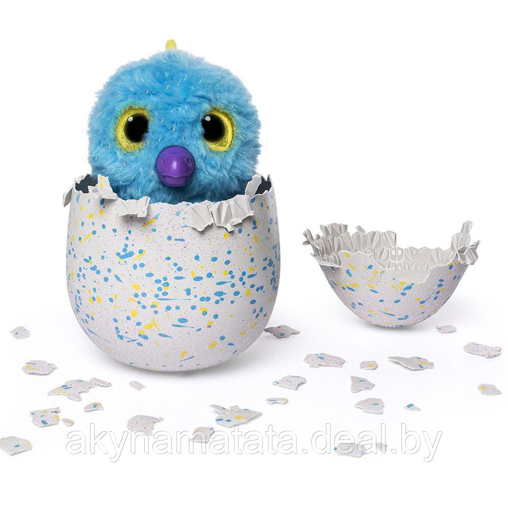 Hatchimals - Хетчималс Пингвинчик - интерактивный питомец. Сам вылупляется из яйца!!! аналог - фото 2 - id-p75803109