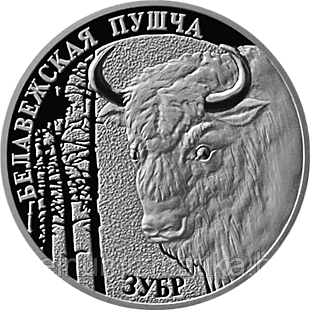 Беловежская пуща. Зубр,  1 рубль  2001, Медно-никель