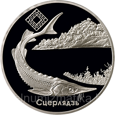 Заказник "Днепро – Сожский". Стерлядь. Серебро 20 рублей 2007