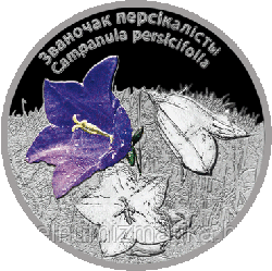Колокольчик персиколистный. Серебро 20 рублей 2014