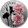 Гвоздика (Dianthus), 10 рублей 2013, серебро, фото 5