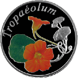 Настурция (Tropaeolum). Серебро 10 рублей. 2013