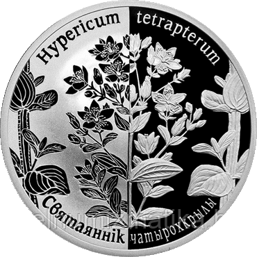 Зверобой четырехкрылый, 20 рублей 2013, серебро