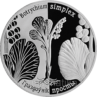Гроздовник простой, 20 рублей 2014 Серебро