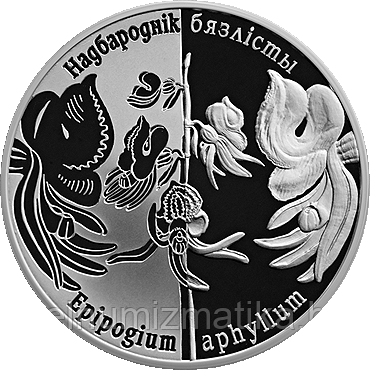 Надбородник безлистный,  20 рублей 2016, Серебро