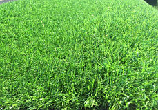 Трава искусственная Deco ворс 25 мм. (ширина 2 и 4 м.), фото 2