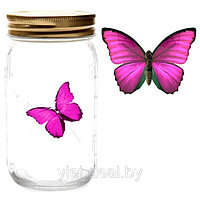 Электронная бабочка в банке Розовый Морфо