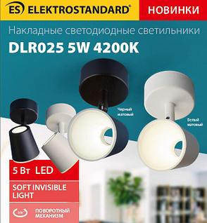 Акцентный светодиодный светильник DLR025 5W 4200K белый матовый, фото 2