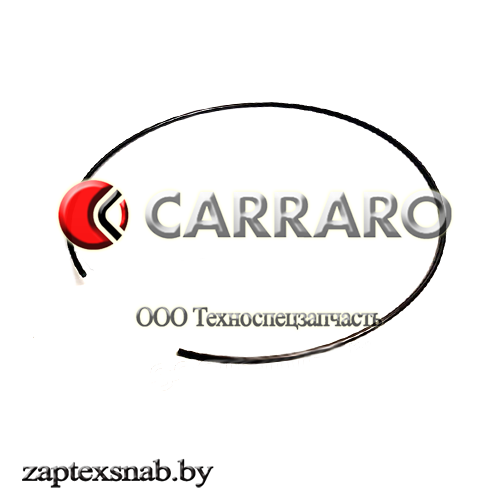 Стопорное кольцо Carraro 125233 - фото 1 - id-p76549994